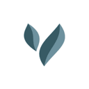 VALUESQUE Celebrates Over 10 Years of Impact While Expanding Support for Complex Valuation Cases Worldwide